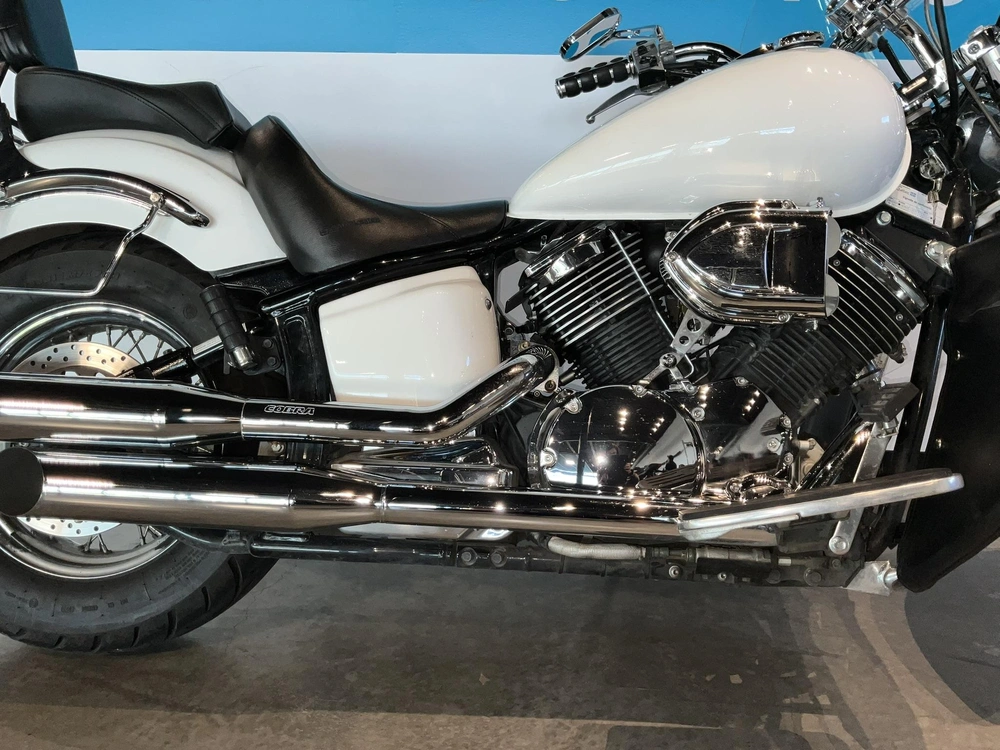 Yamaha Xvs1100 2006 alt