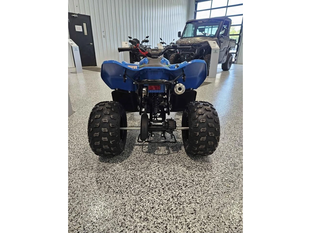 Cfmoto Cforce 110 Classic 2025 alt