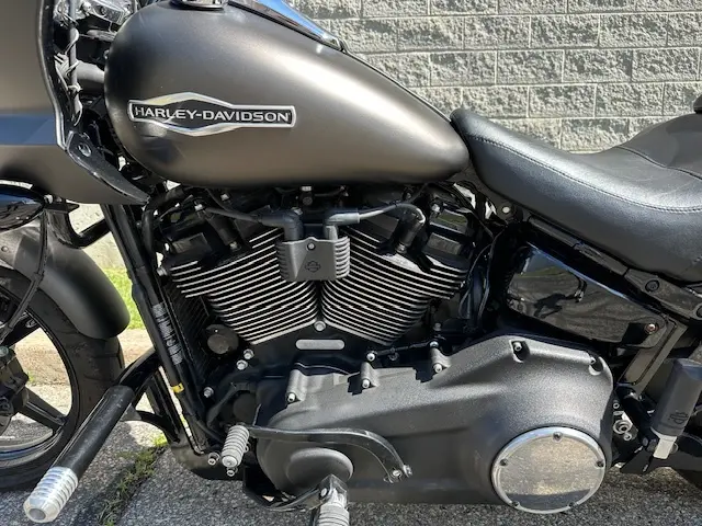 2020 Harley-Davidson SPORT GLIDE FLSBFLSB