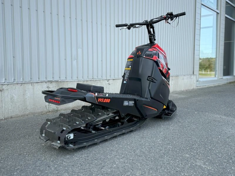 2024 Widescape Ws250 alt