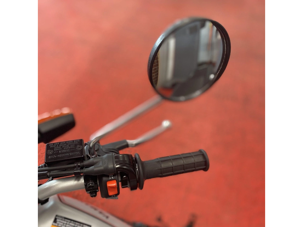 2025 Yamaha Tw200sg alt