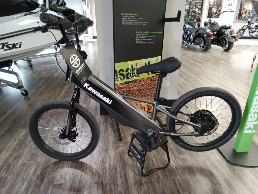 2025 Kawasaki ELECTRODE 20 FS