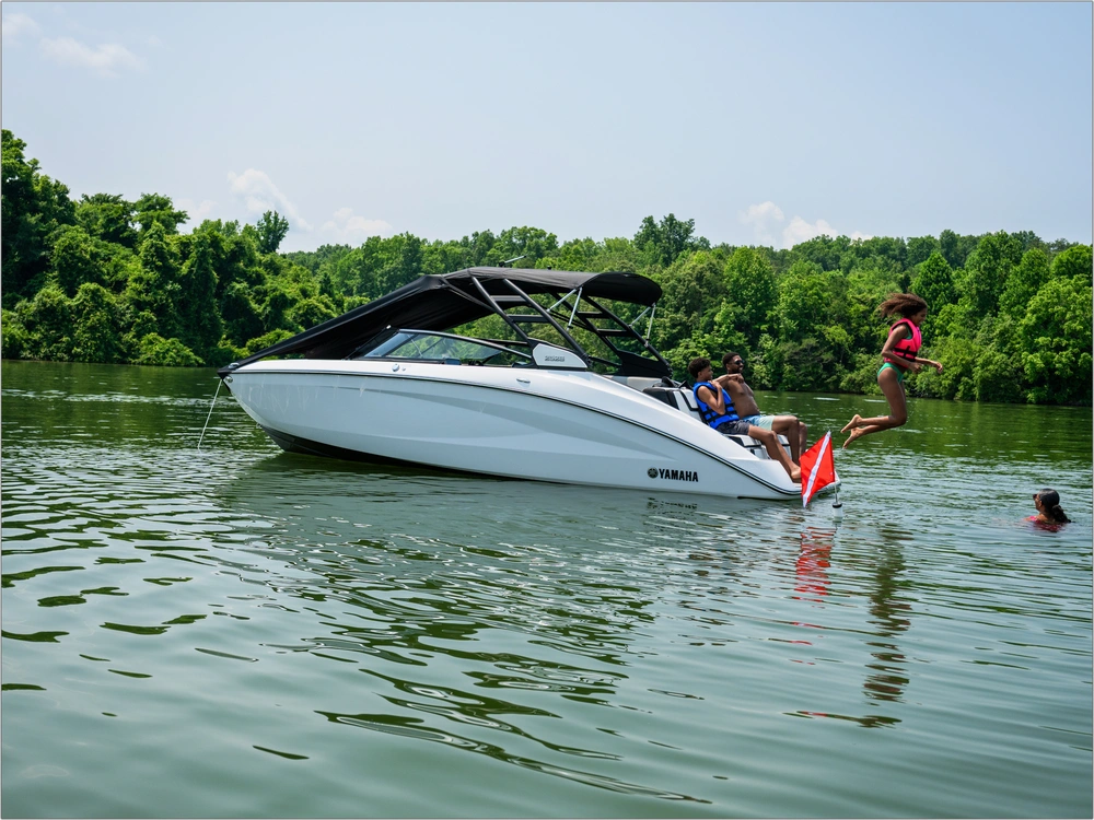 2026 Yamaha 252s alt