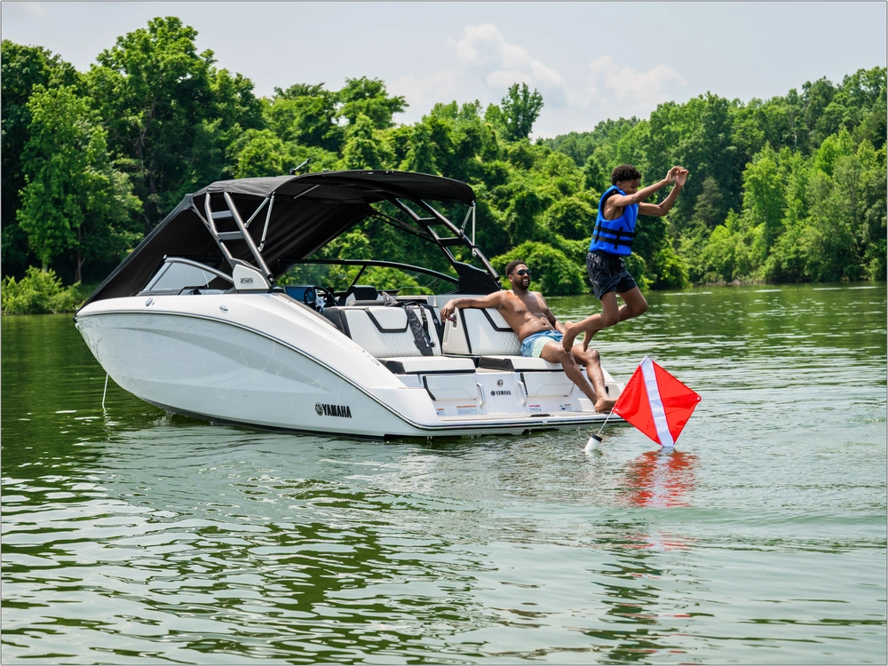 2026 Yamaha 252s alt