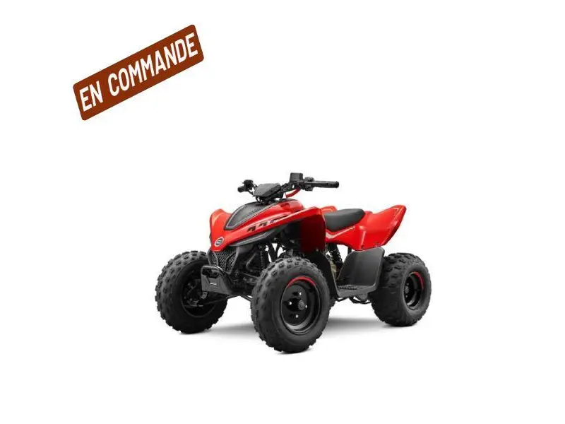 2026 CFMOTO CFORCE 110 CLASSIC