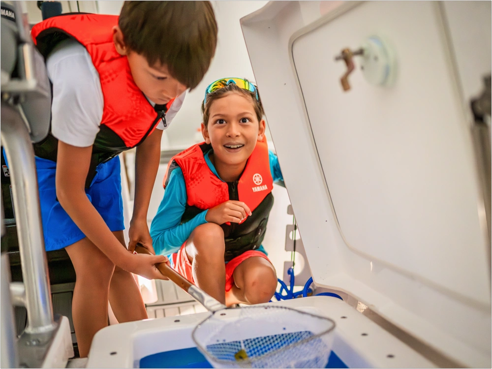 2026 Yamaha 195 Fsh Sport alt