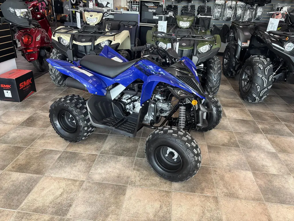 2025 Yamaha RAPTOR 110 