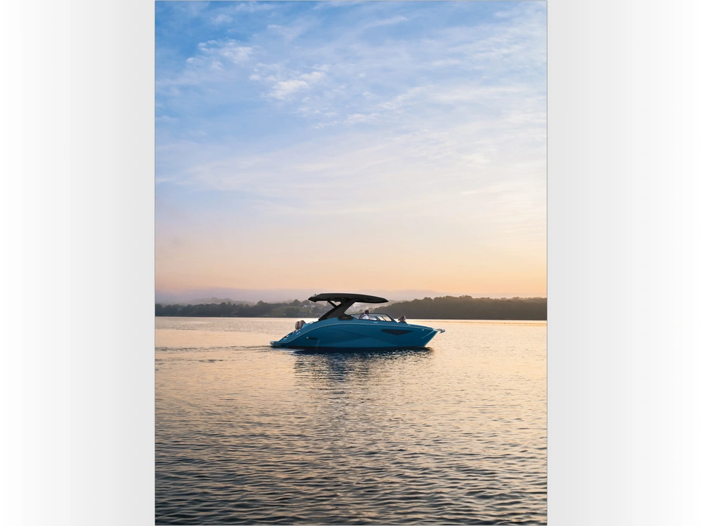 2026 Yamaha 295xd alt