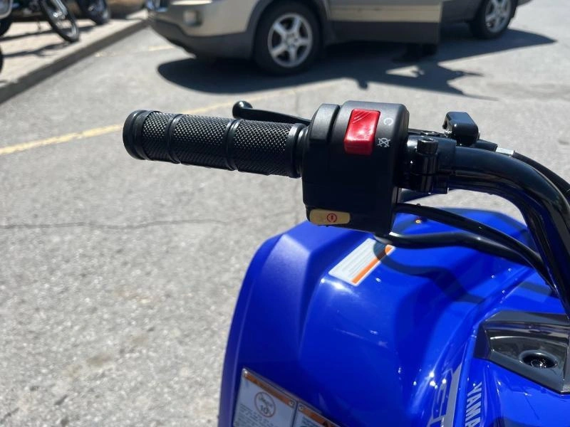 Yamaha Grizzly 110 2025 alt