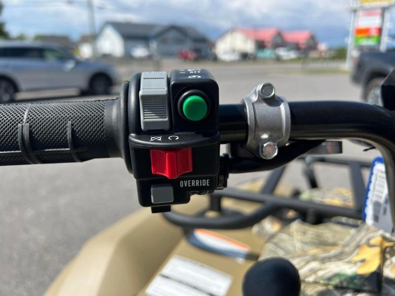 Yamaha Kodiak 450 Dae 2025 alt