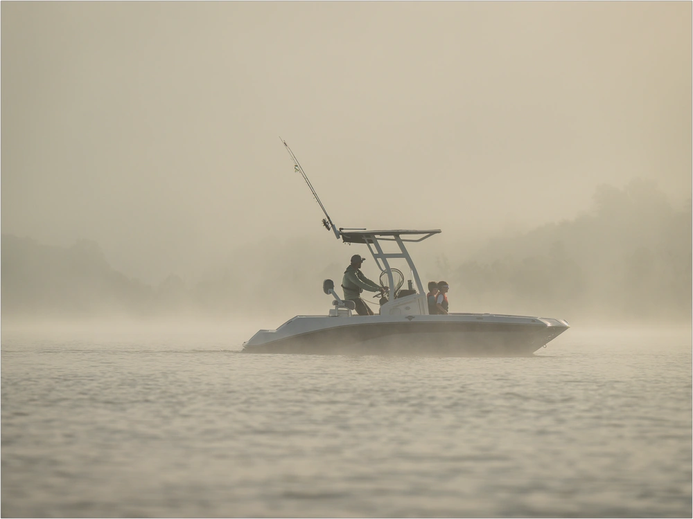 2026 Yamaha 195 Fsh Sport alt