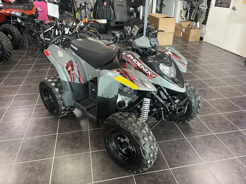 2024 Polaris PHOENIX 200