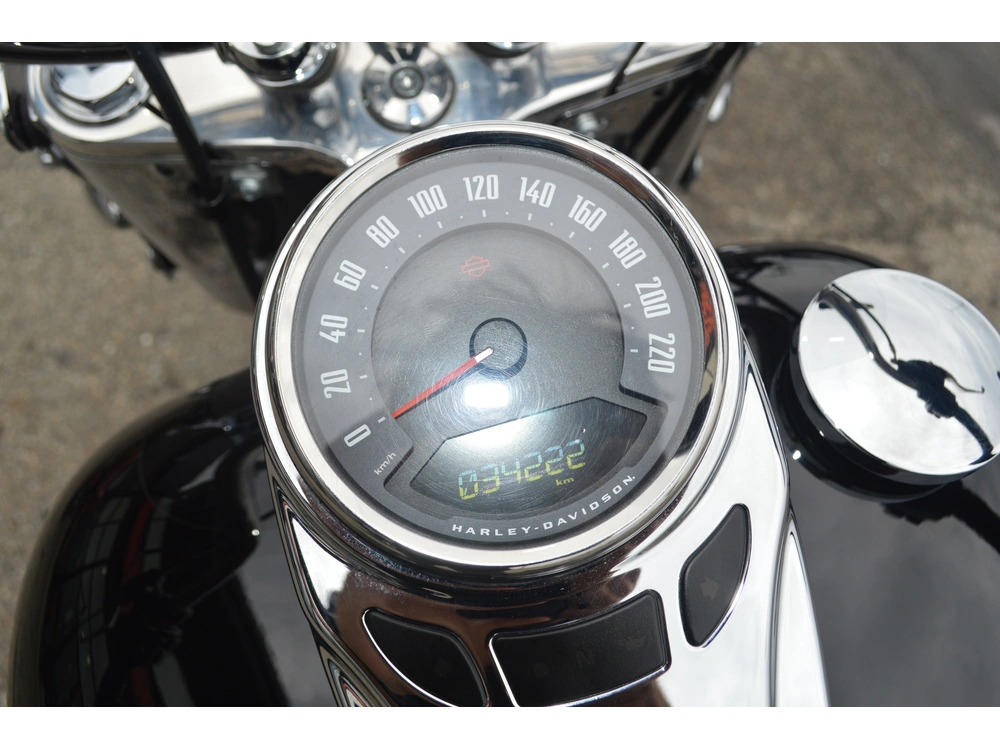 Harley-davidson Flhcs 2022 alt