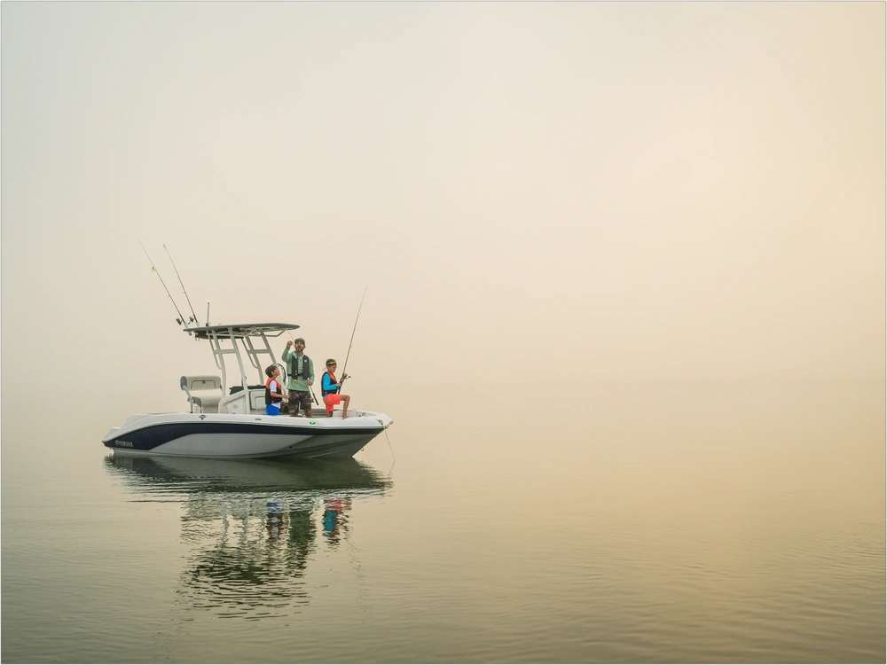 2026 Yamaha 195 Fsh Sport alt