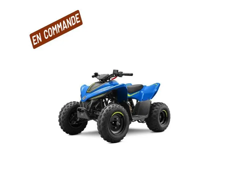 2026 CFMOTO CFORCE 110 CLASSIC