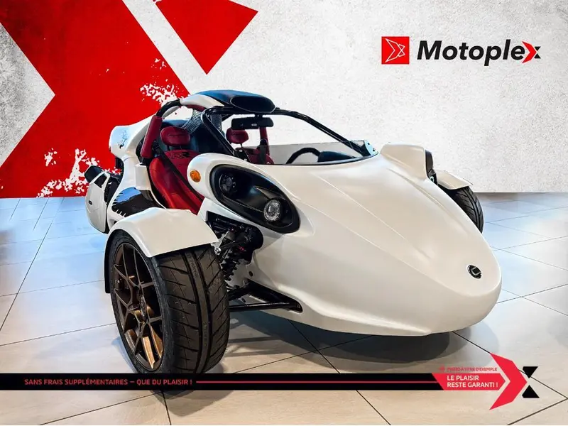 2025 Campagna T-Rex