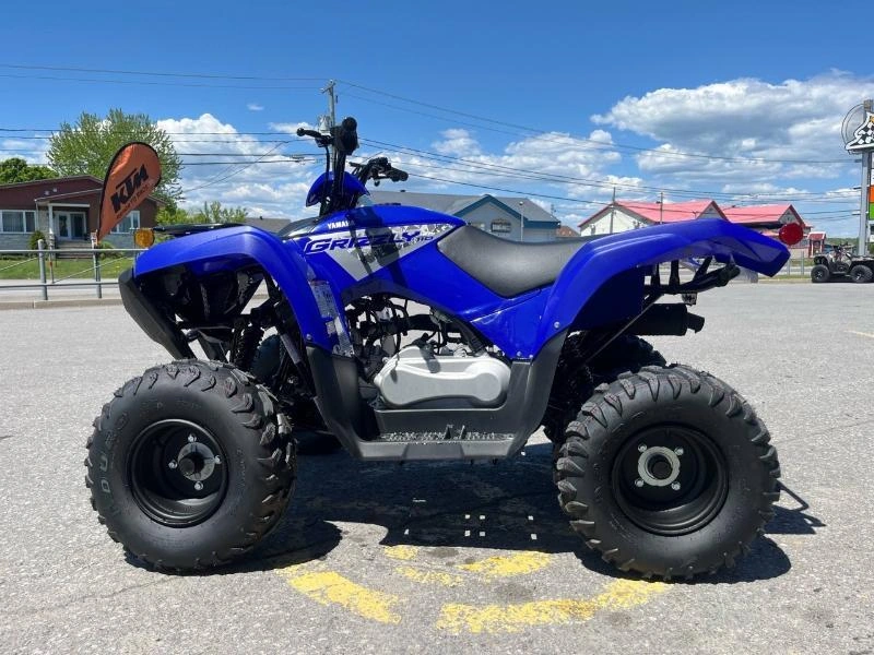 Yamaha Grizzly 110 2025 alt