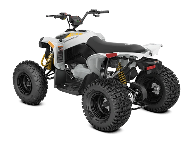 2026 Can-am Renegade 110 Efi alt
