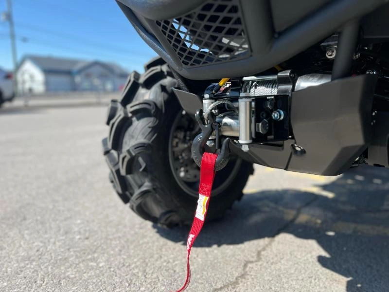 Yamaha Grizzly Dae Se 2025 alt