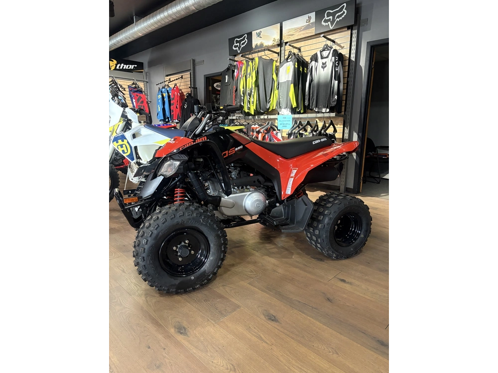 2025 Can-am Ds250 alt