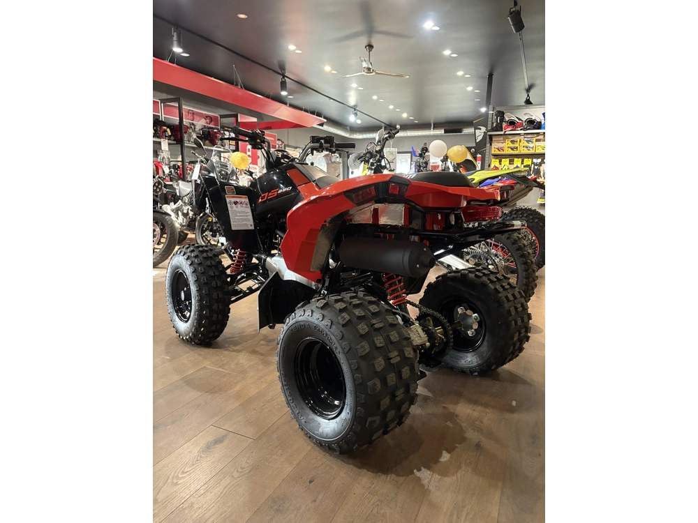 2025 Can-am Ds250 alt