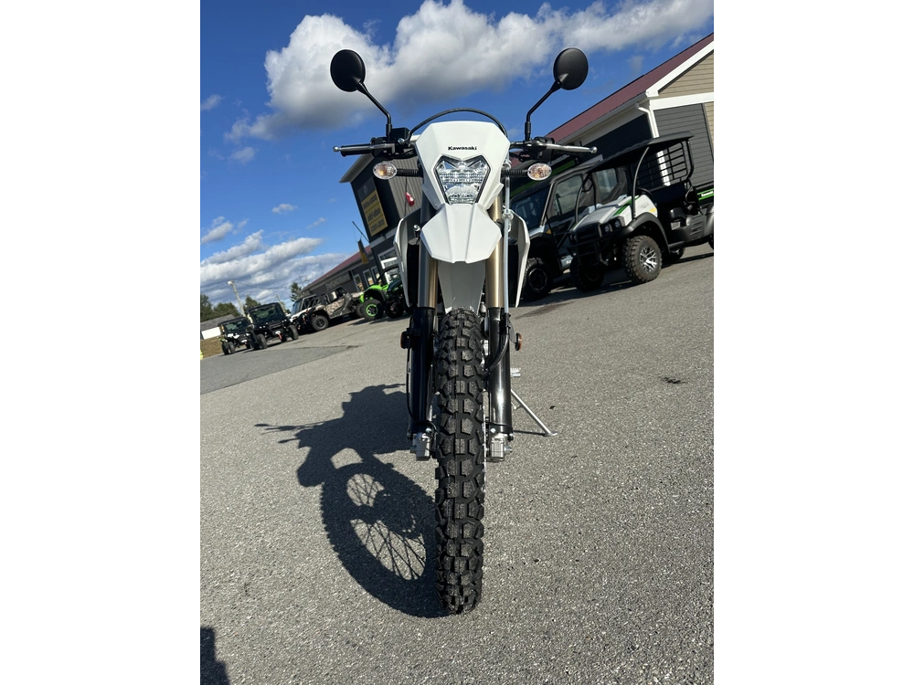 2026 Kawasaki Klx 300 alt