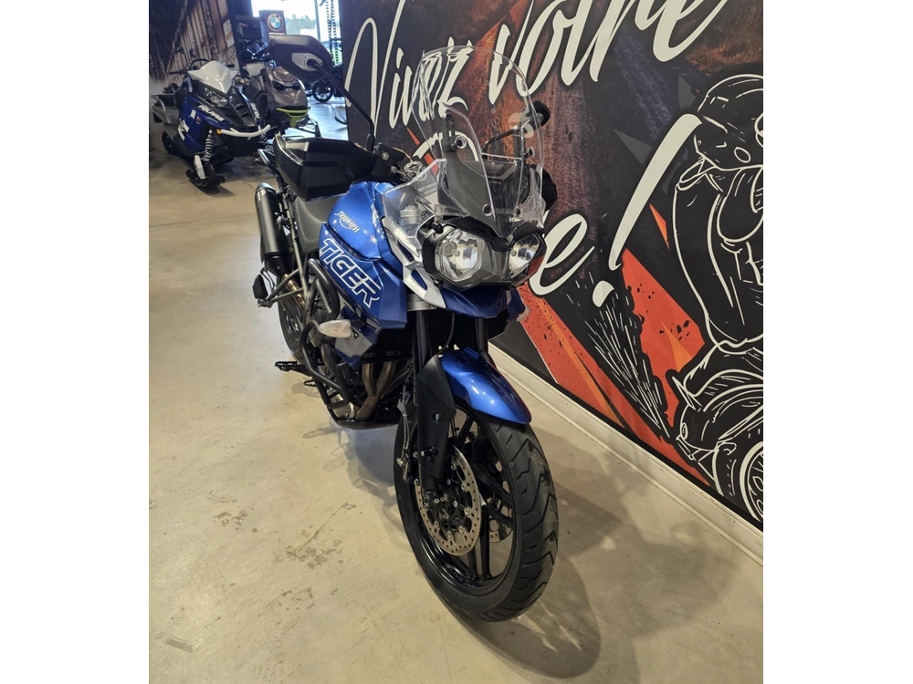 Triumph Tiger 800 Xrx Low 2019 alt