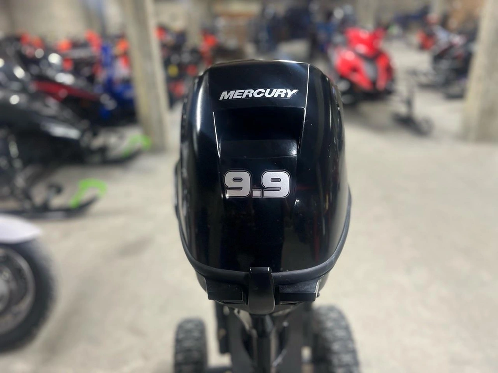2022 Mercury 9.9 Hp alt