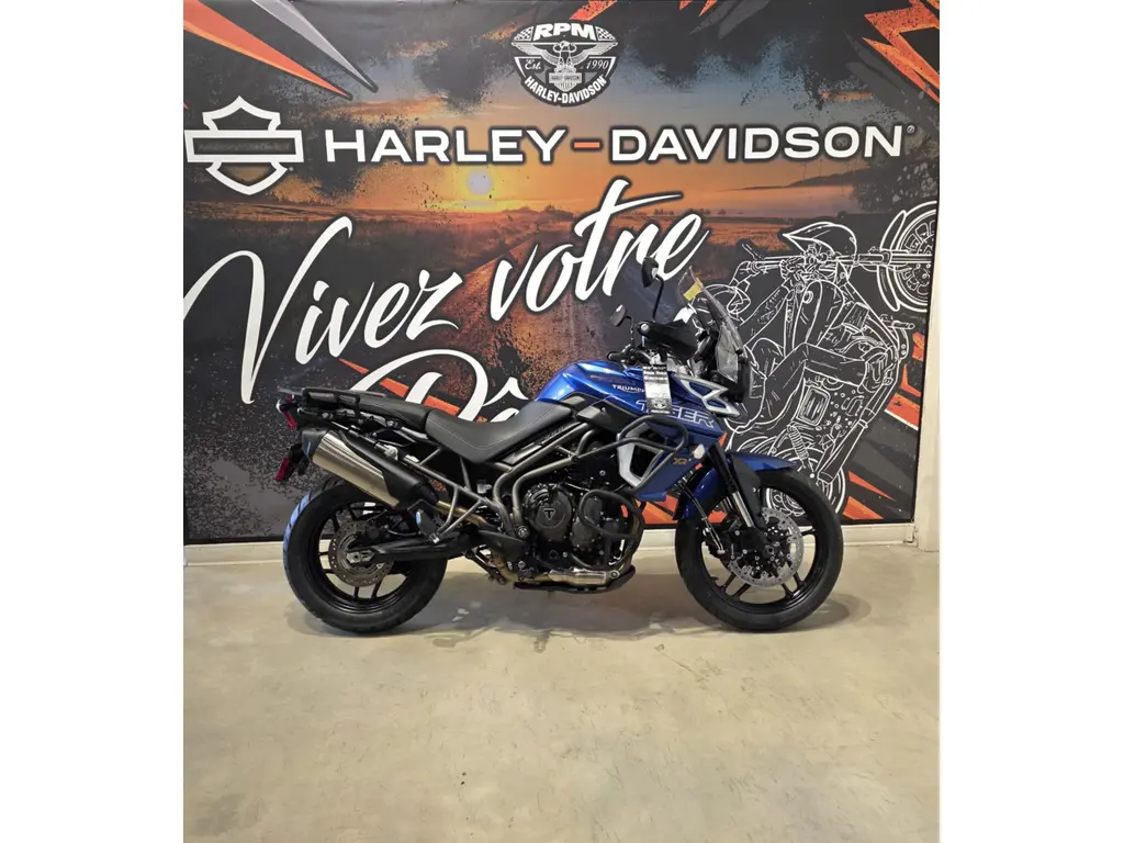 2019 Triumph tiger 800 xrx low