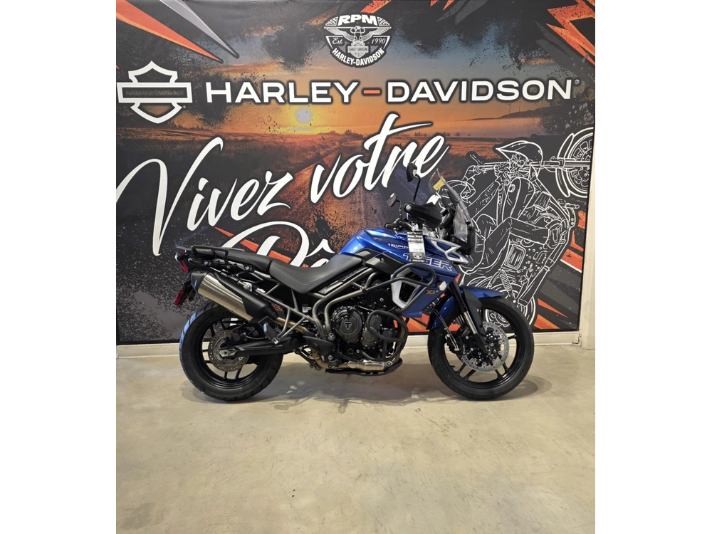 Triumph Tiger 800 Xrx Low 2019 alt