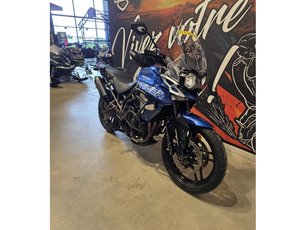 Triumph Tiger 800 Xrx Low 2019 alt