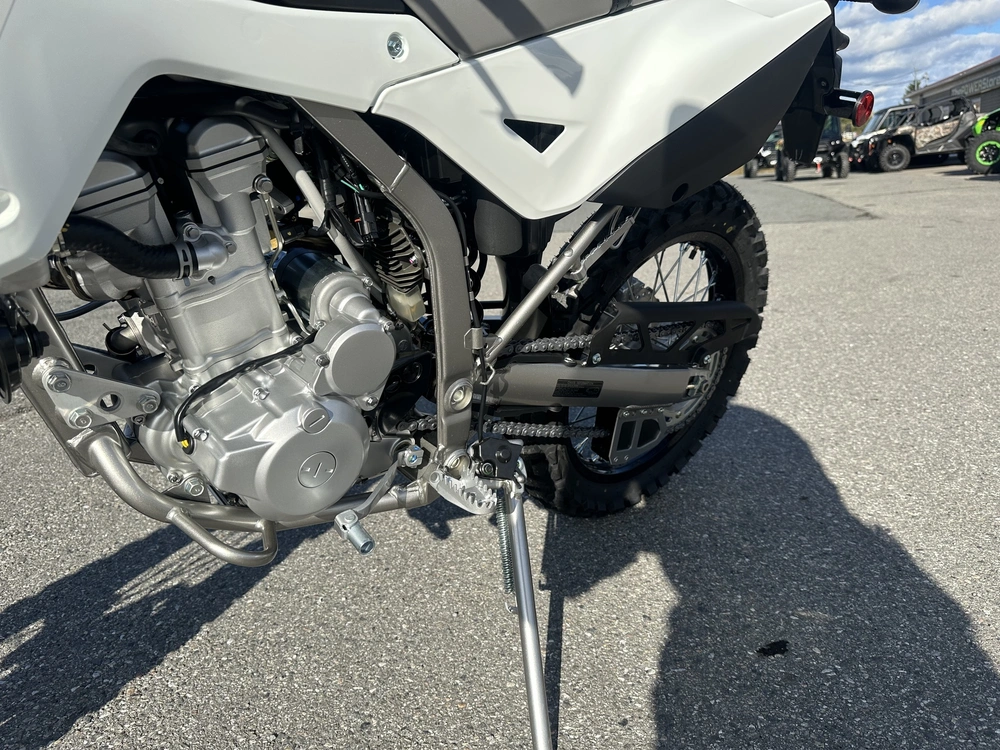 2026 Kawasaki Klx 300 alt