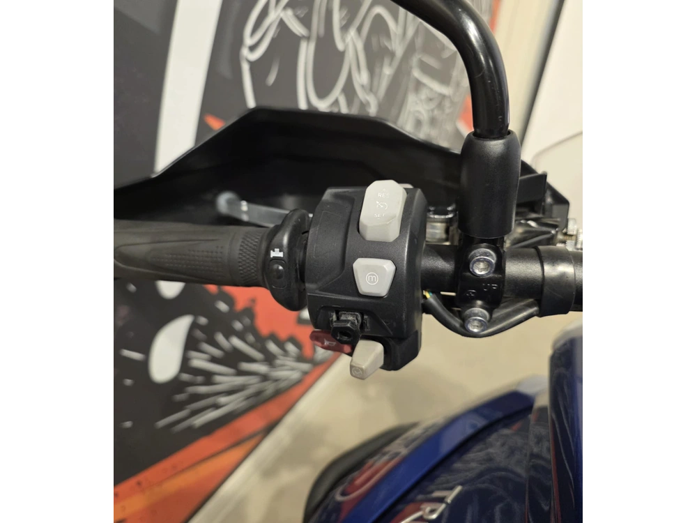 Triumph Tiger 800 Xrx Low 2019 alt