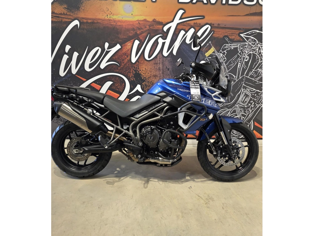 Triumph Tiger 800 Xrx Low 2019 alt