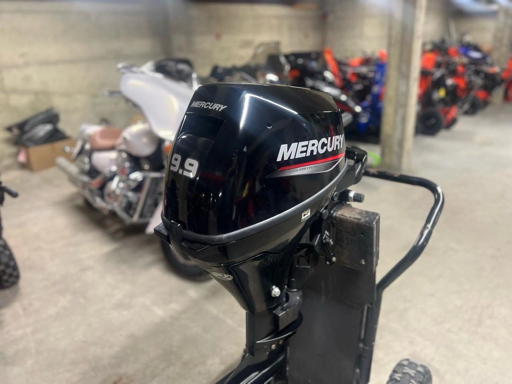 Mercury 9.9 Hp 2022 alt