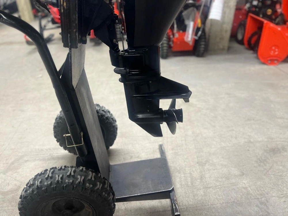 2022 Mercury 9.9 Hp alt