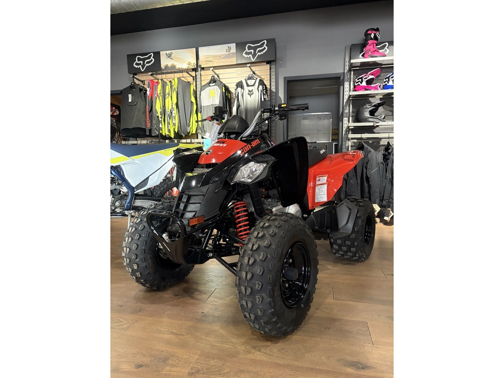 2025 Can-am Ds250 alt