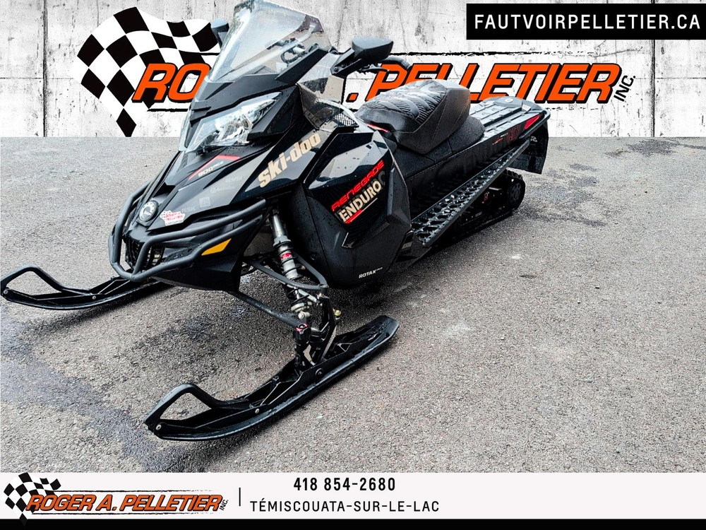 Ski-doo Renegade Enduro 900 Ace 2017 alt