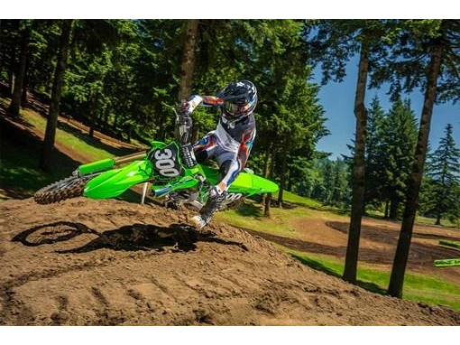 Kawasaki Kx 250 2026 alt