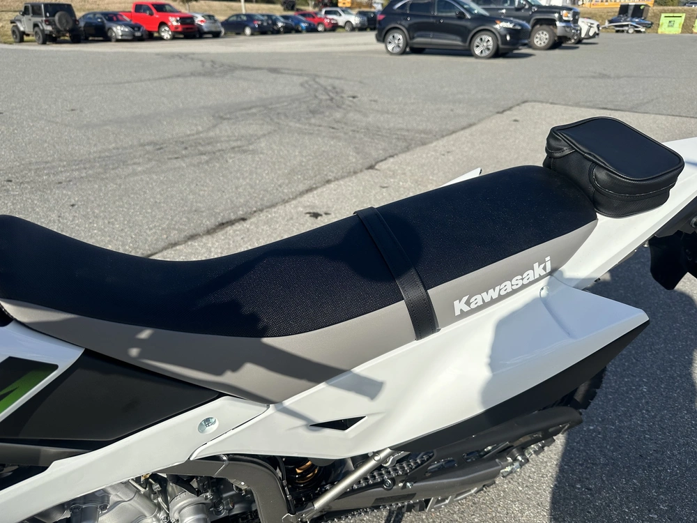 2026 Kawasaki Klx 300 alt