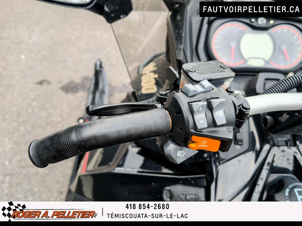 Ski-doo Renegade Enduro 900 Ace 2017 alt