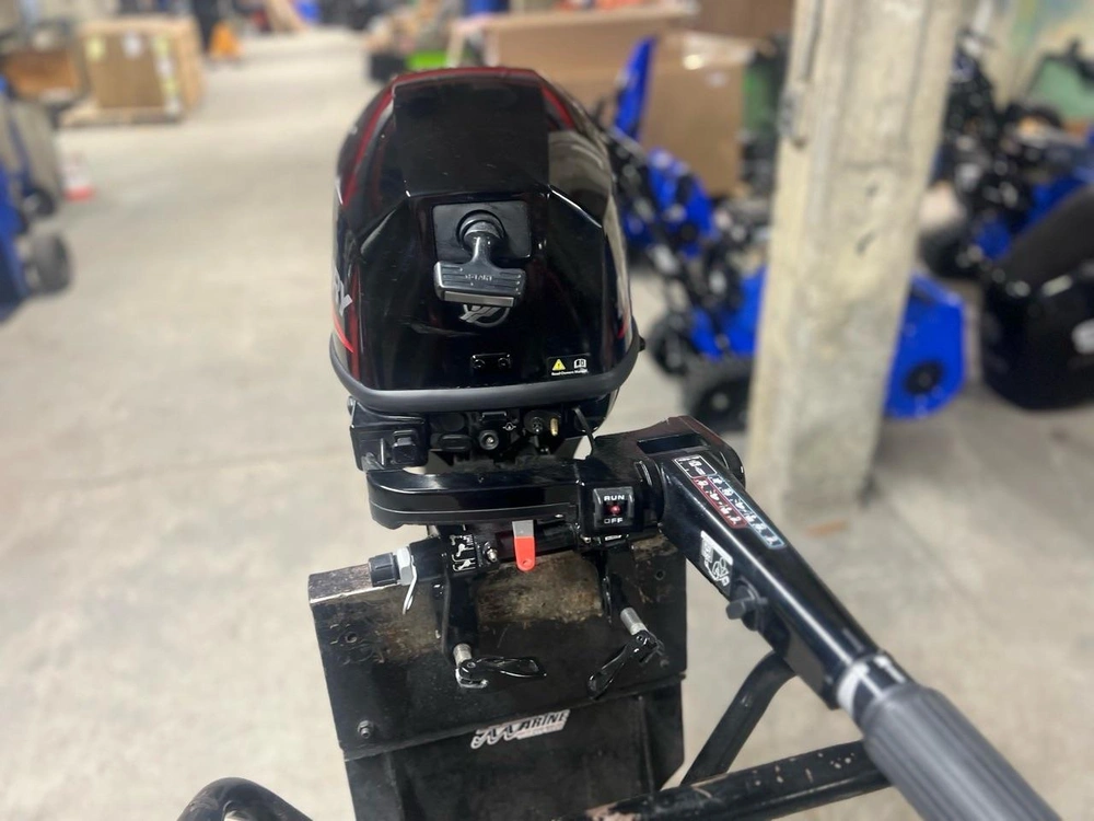 2022 Mercury 9.9 Hp alt