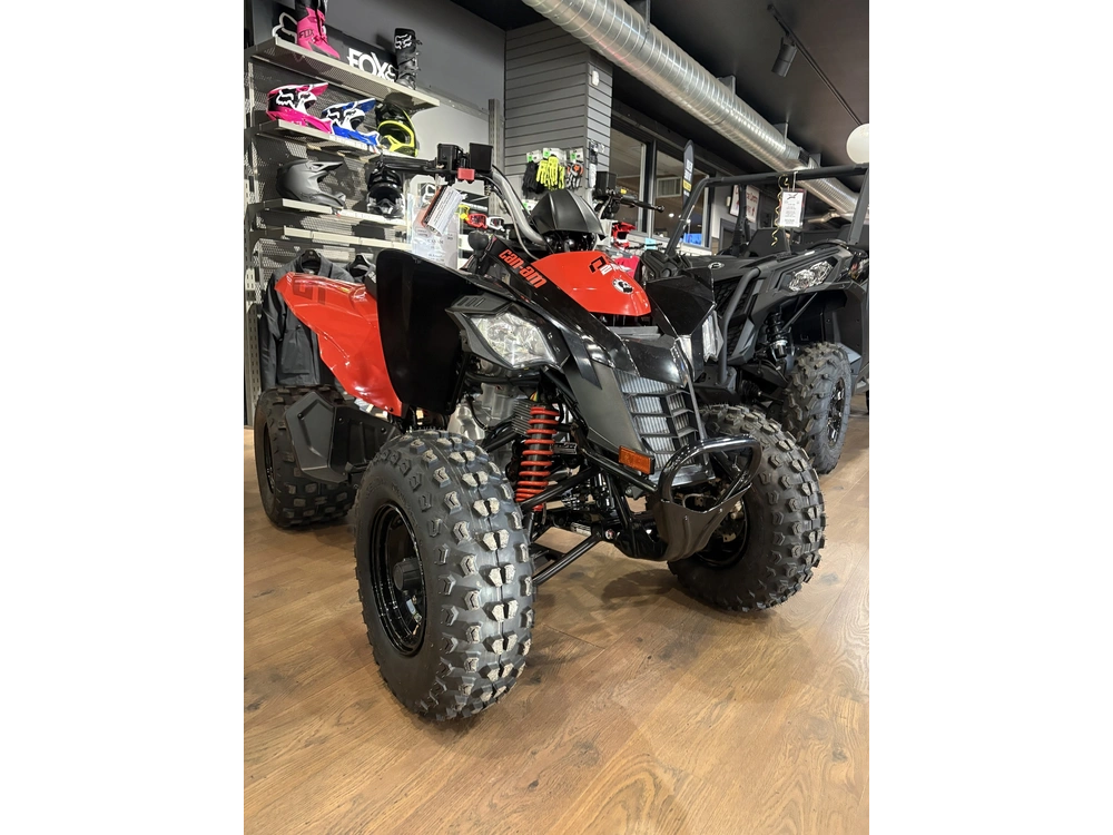 2025 Can-am Ds250 alt