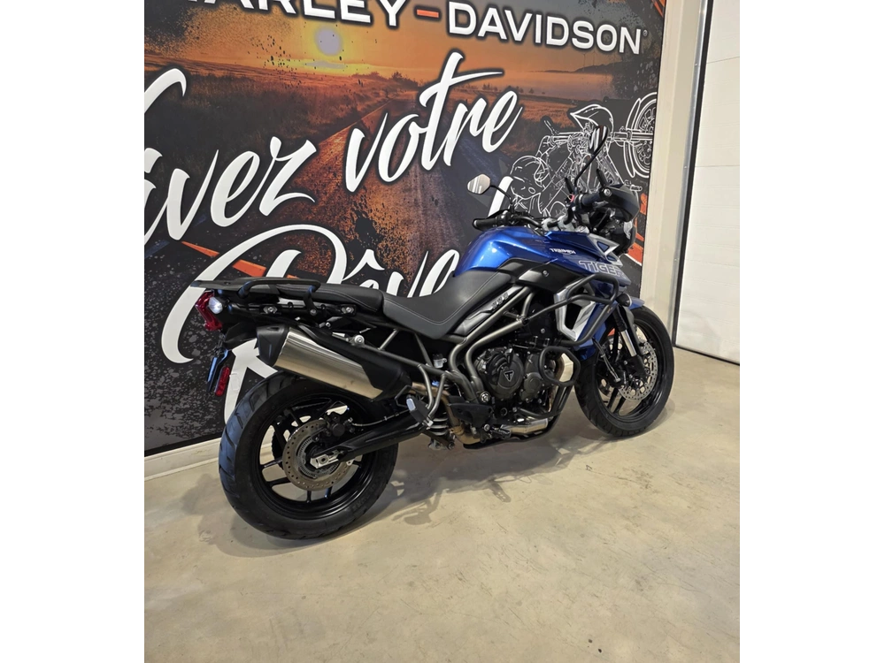 Triumph Tiger 800 Xrx Low 2019 alt