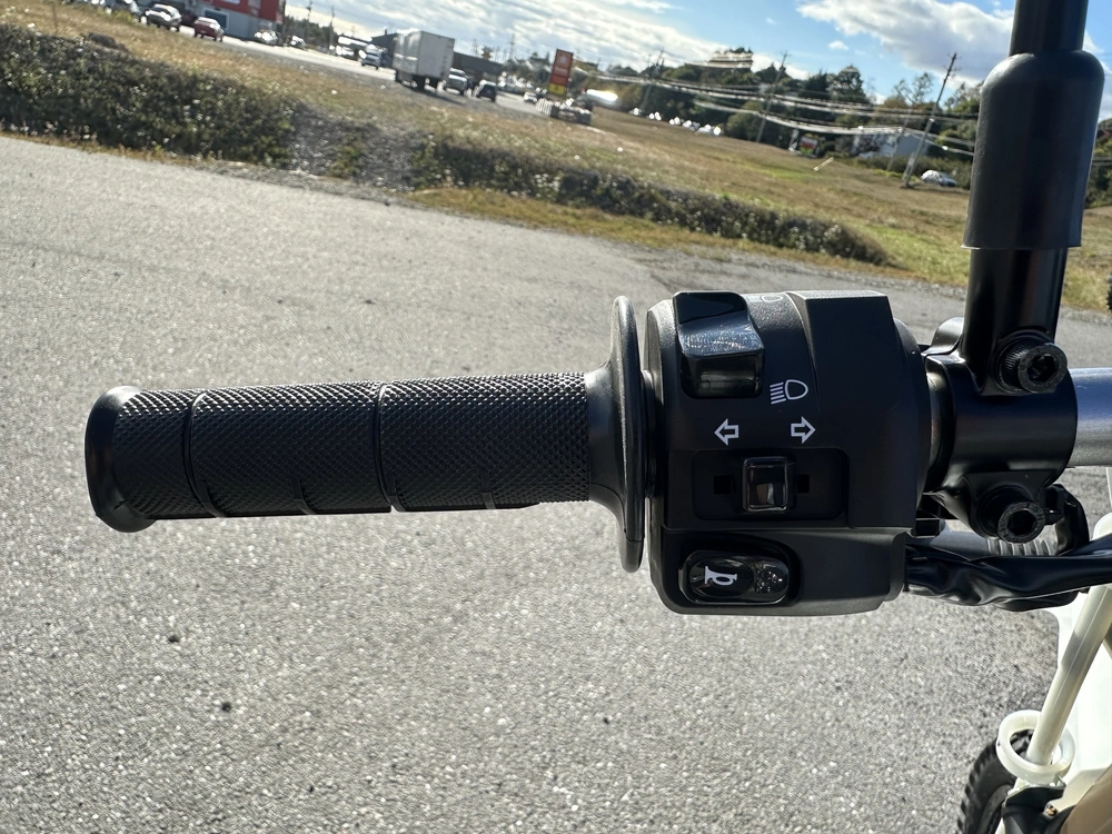 2026 Kawasaki Klx 300 alt