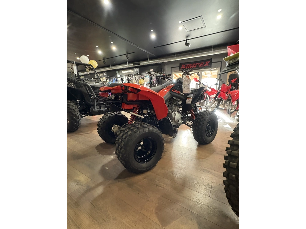 2025 Can-am Ds250 alt