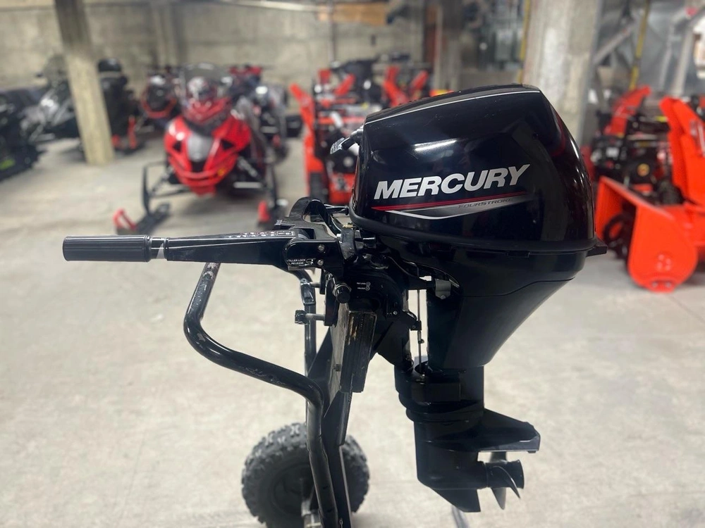 2022 Mercury 9.9 Hp alt