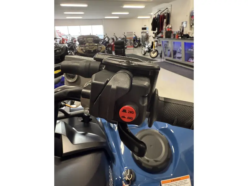 2025 Yamaha GRIZZLY EPS SE GRIZZLY EPS SE