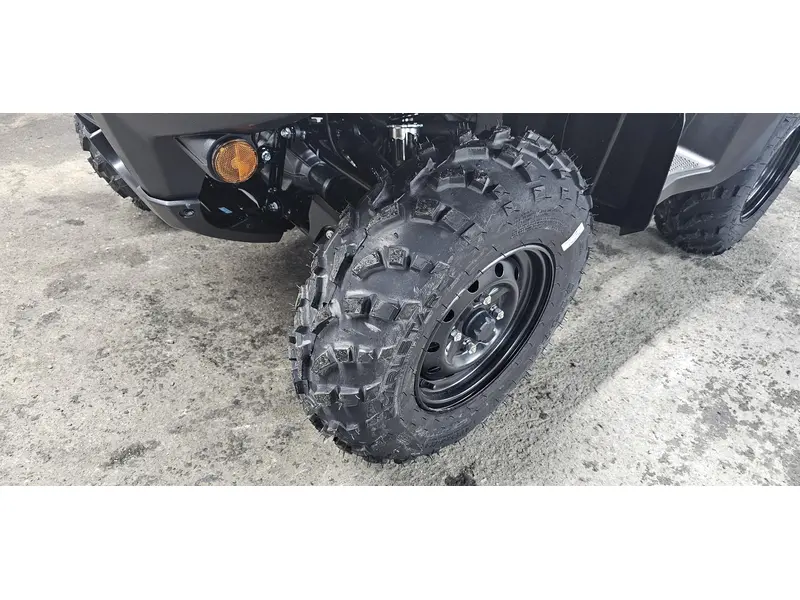 2025 Suzuki LTA750XPM5