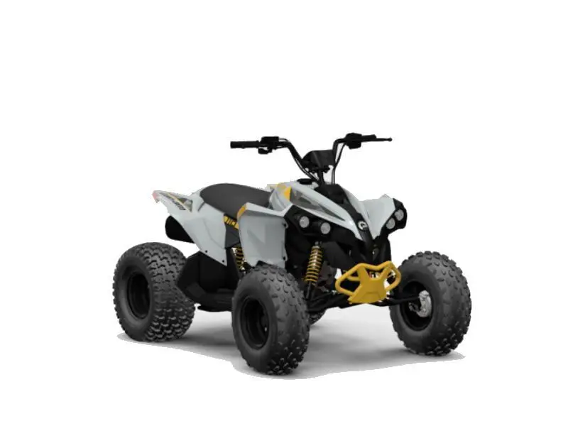 2025 Can-Am ATV REN 2X4 110-4ST GY CALI 25